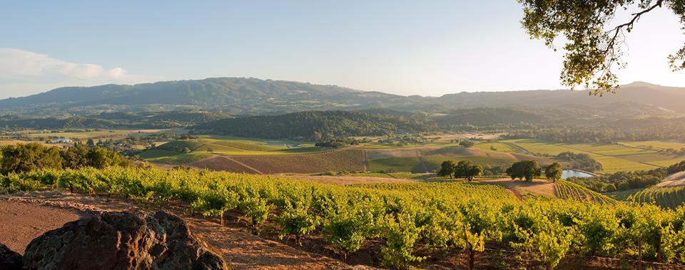 Mountain Top Tastings