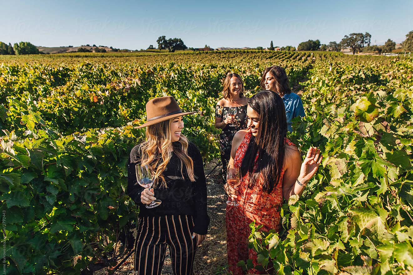 group of women walking through a vineyard