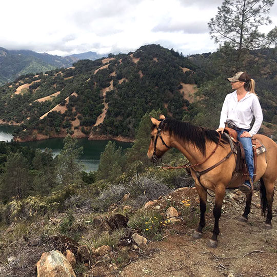 Secret Horseback Ride and Picnic