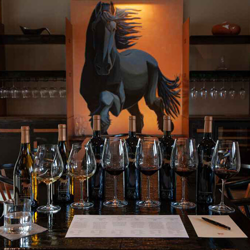 Collector's Experience